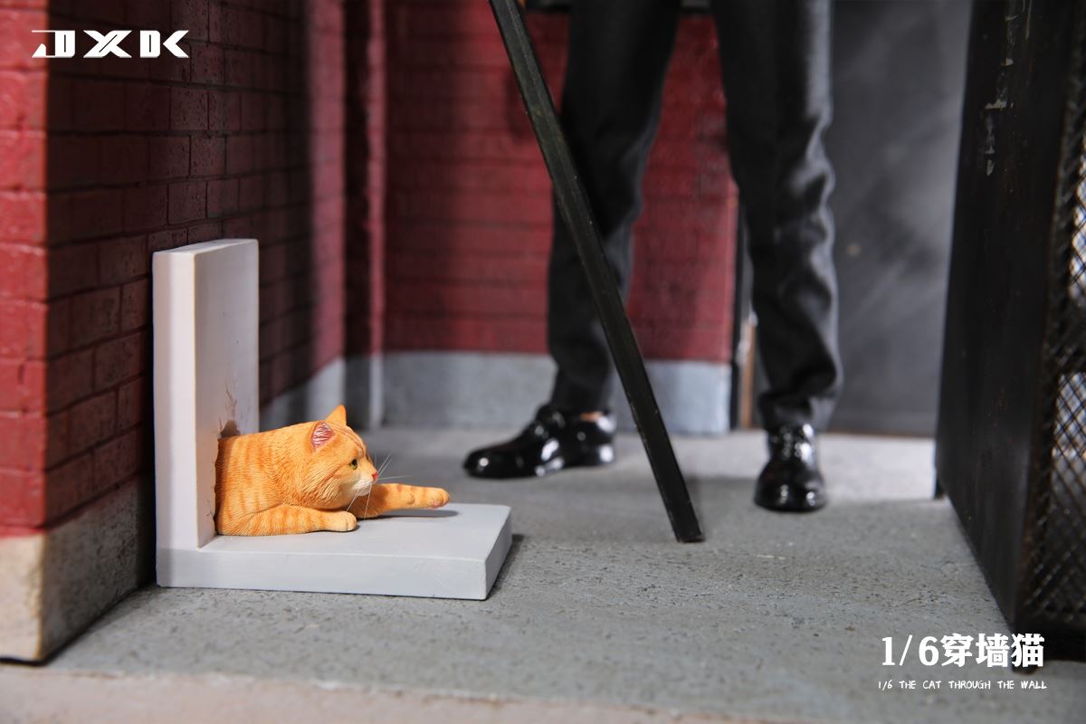 Wall Cat 1/6