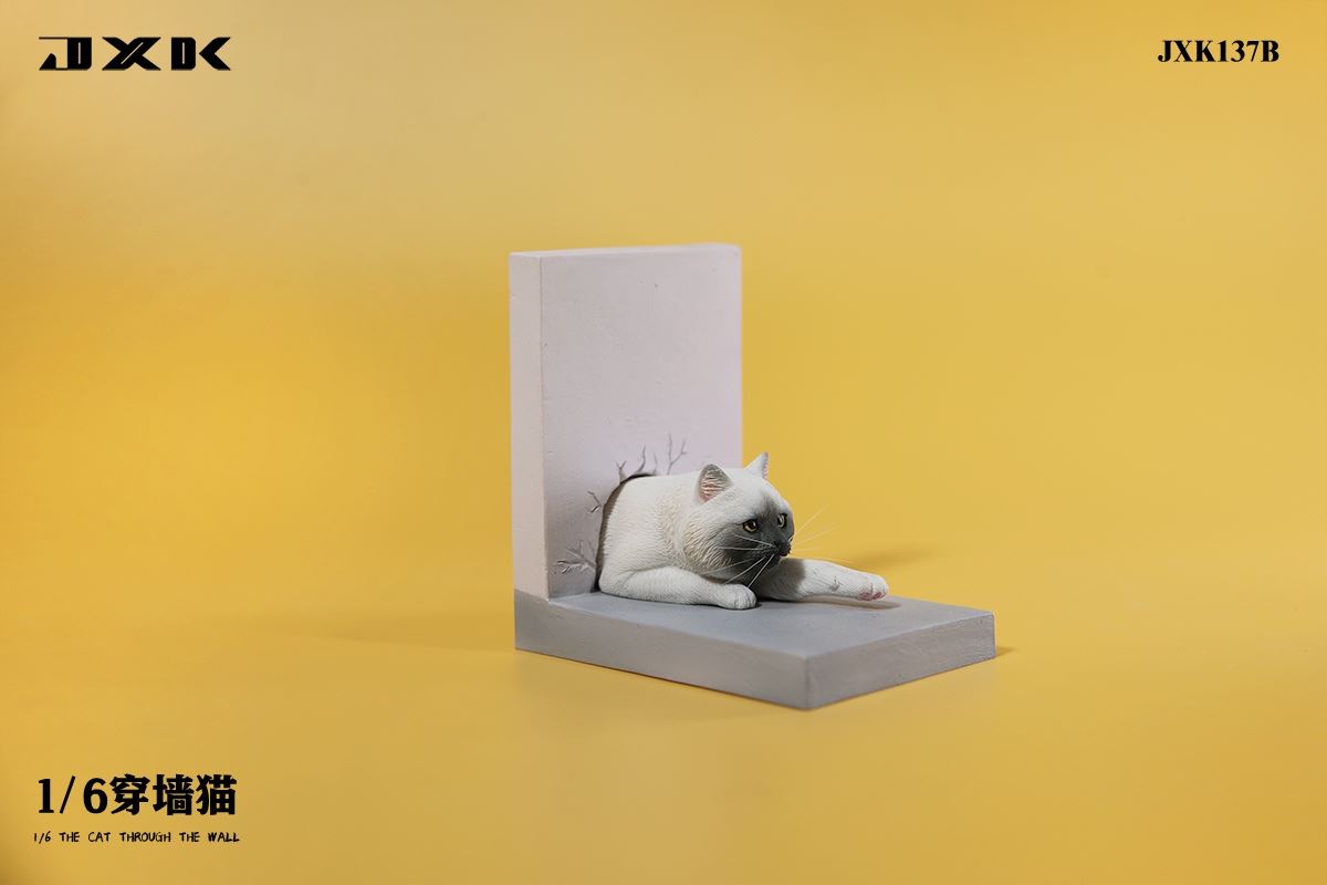Wall Cat 1/6