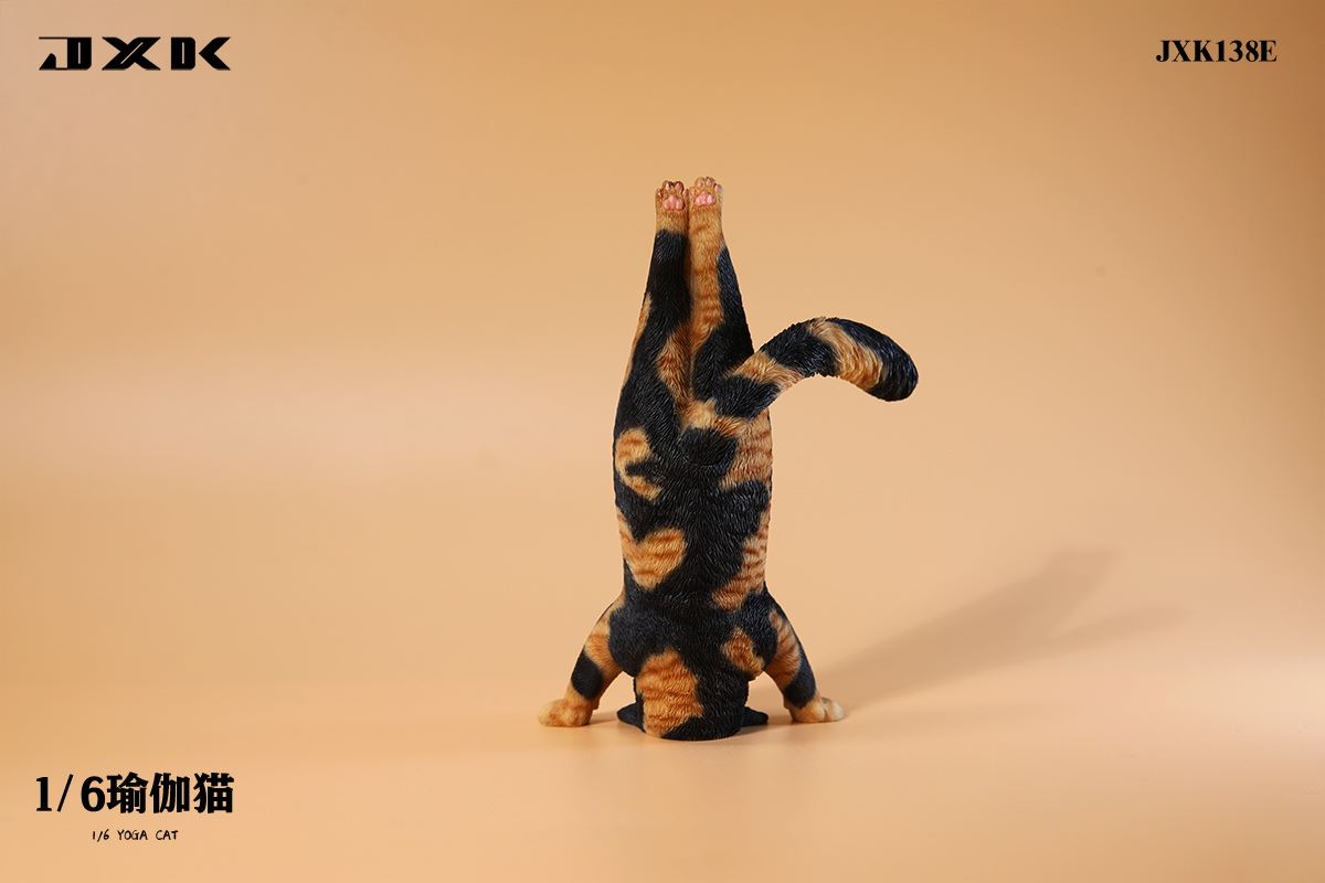 Yoga Cat 1/6