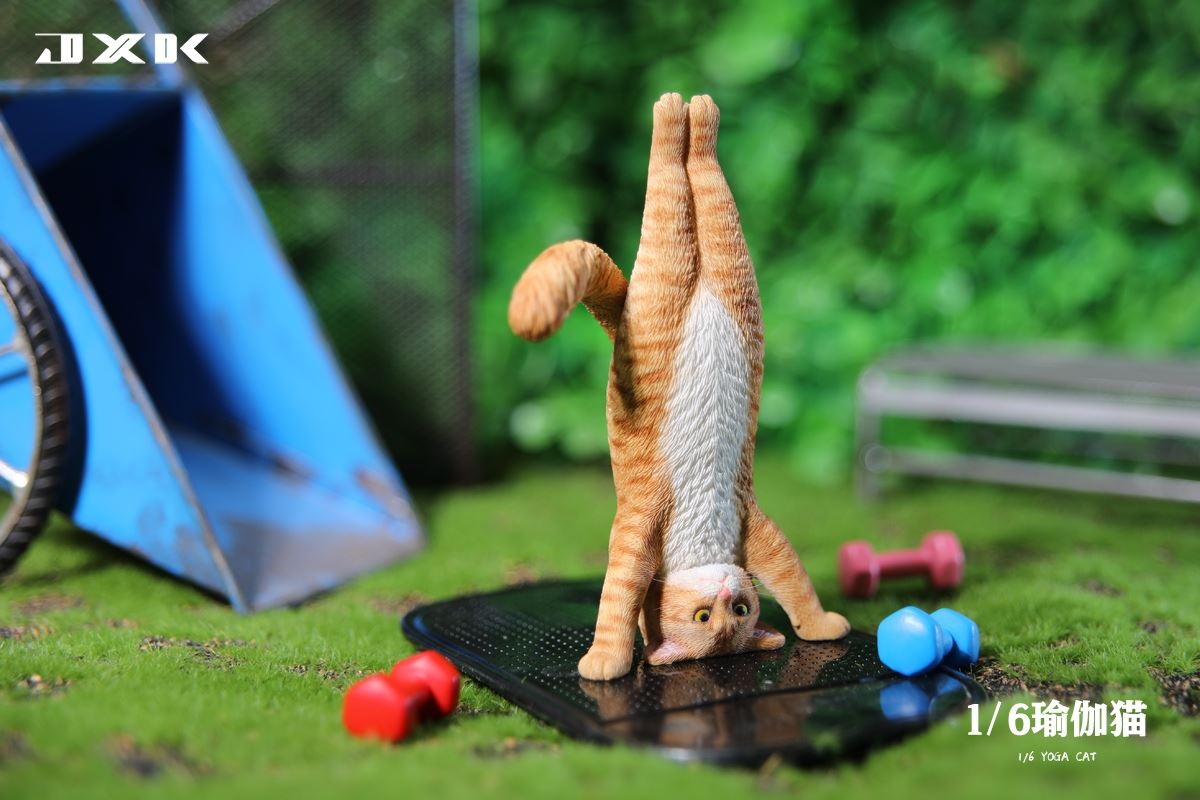 Yoga Cat 1/6