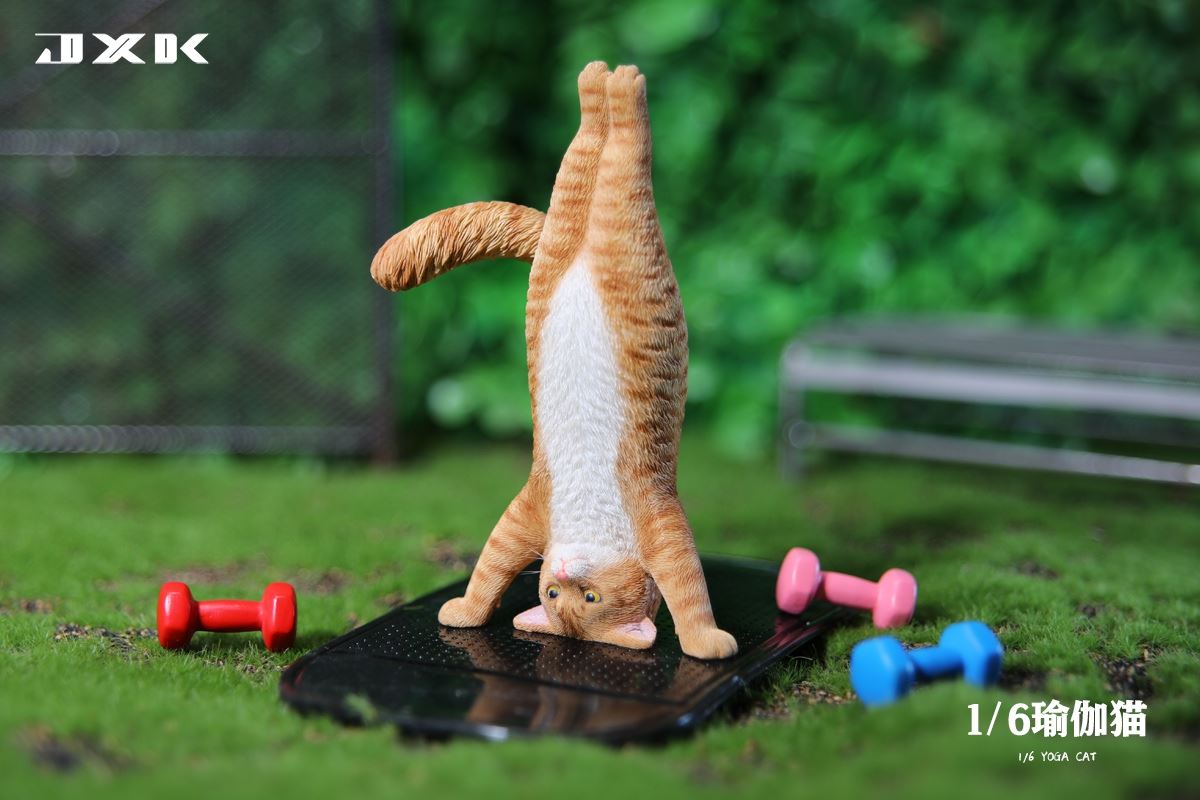 Yoga Cat 1/6