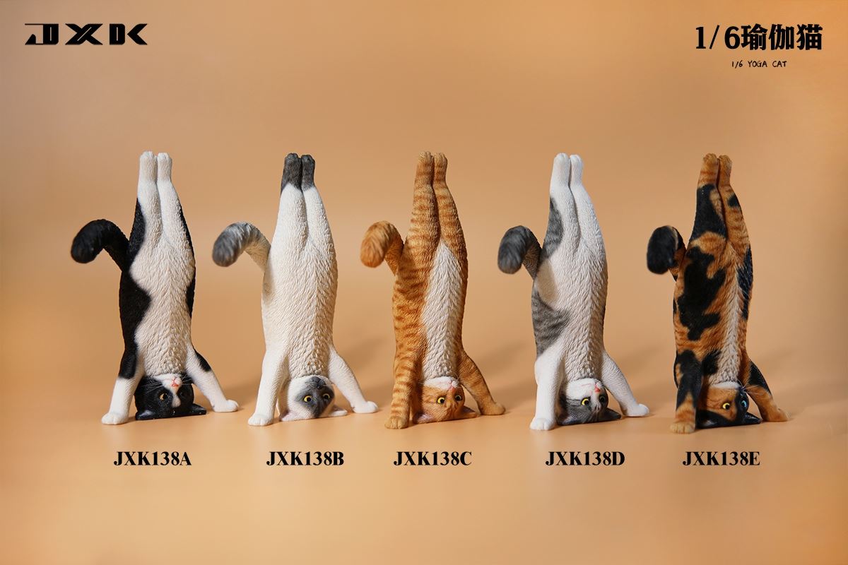 Yoga Cat 1/6