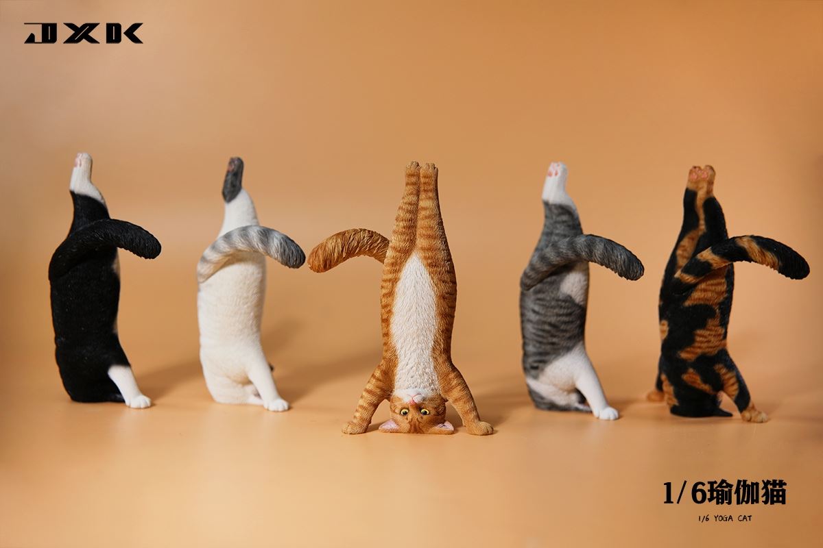 Yoga Cat 1/6