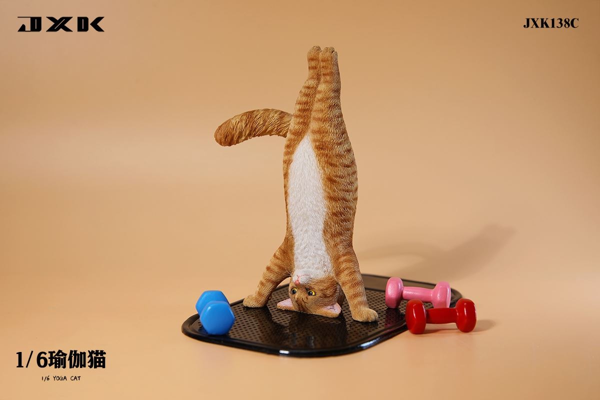 Yoga Cat 1/6