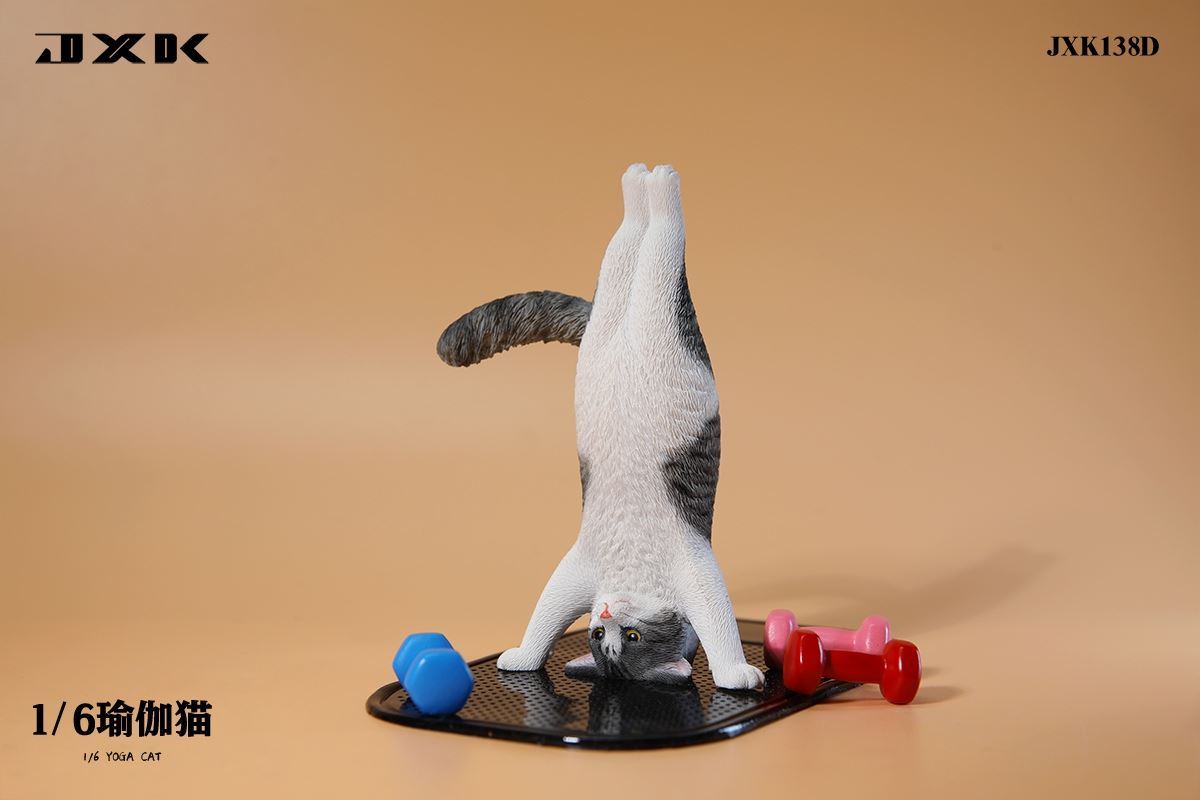Yoga Cat 1/6