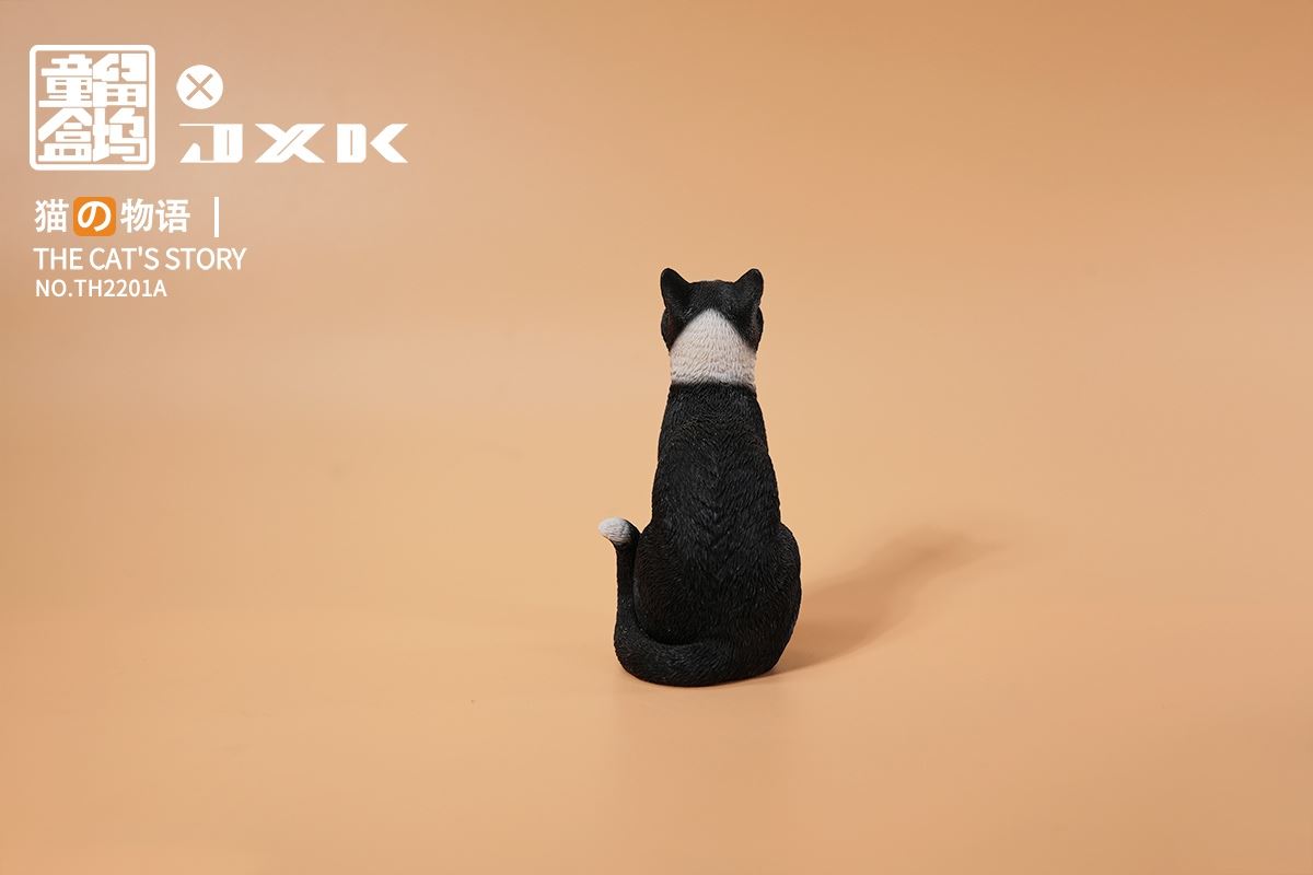 The Cat's Story