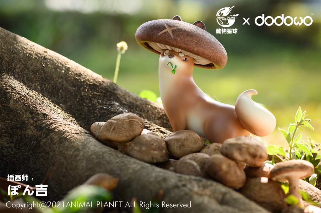 Mushroom Mustelidae