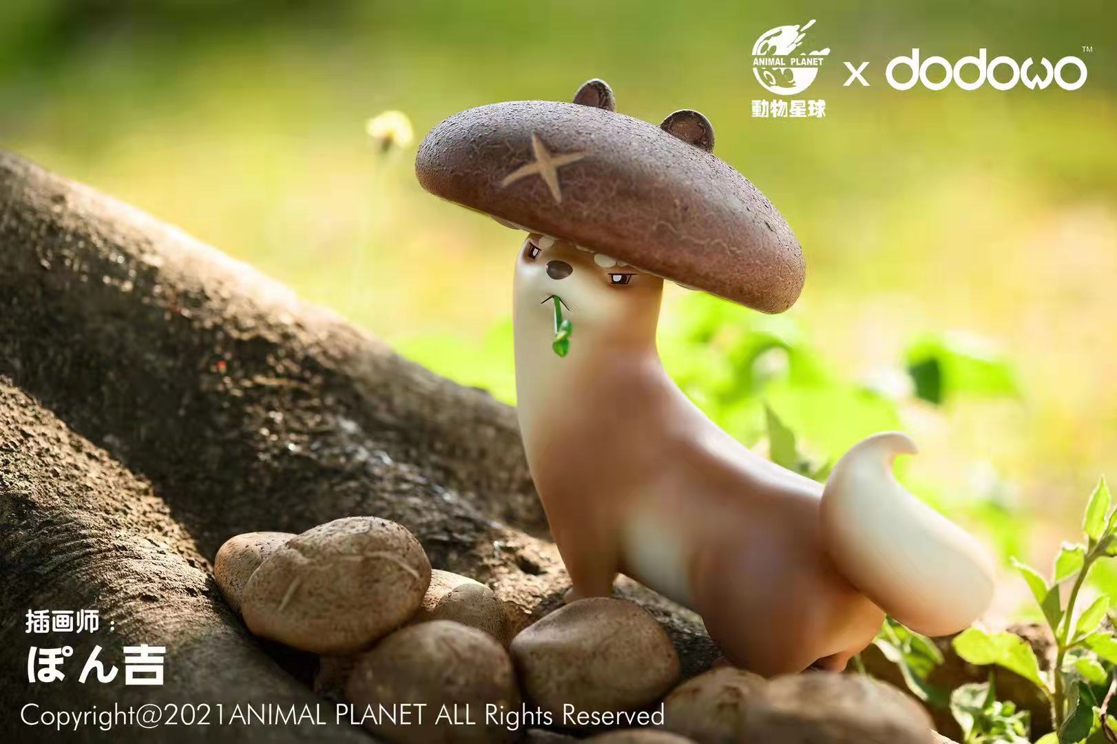 Mushroom Mustelidae