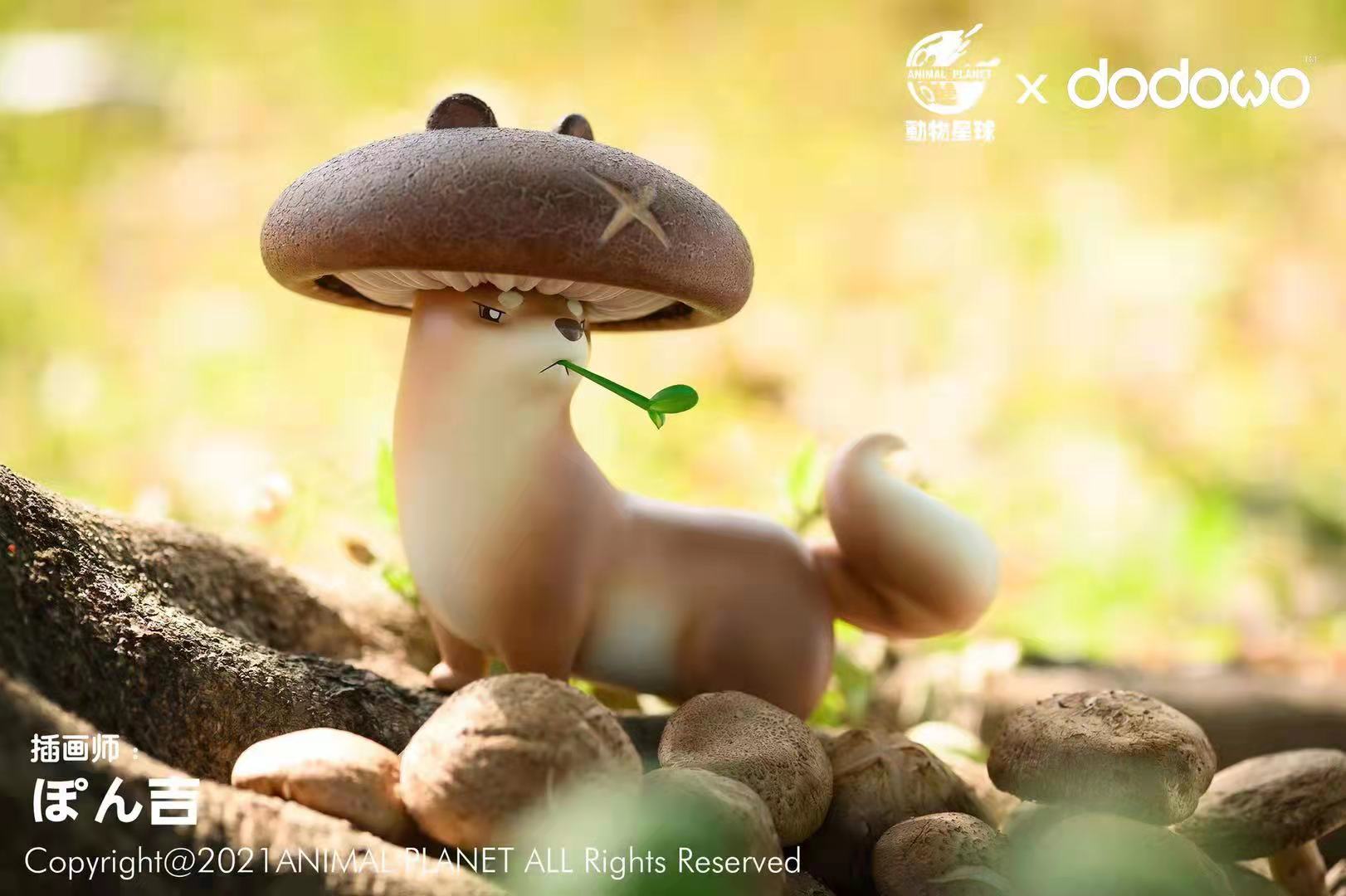 Mushroom Mustelidae