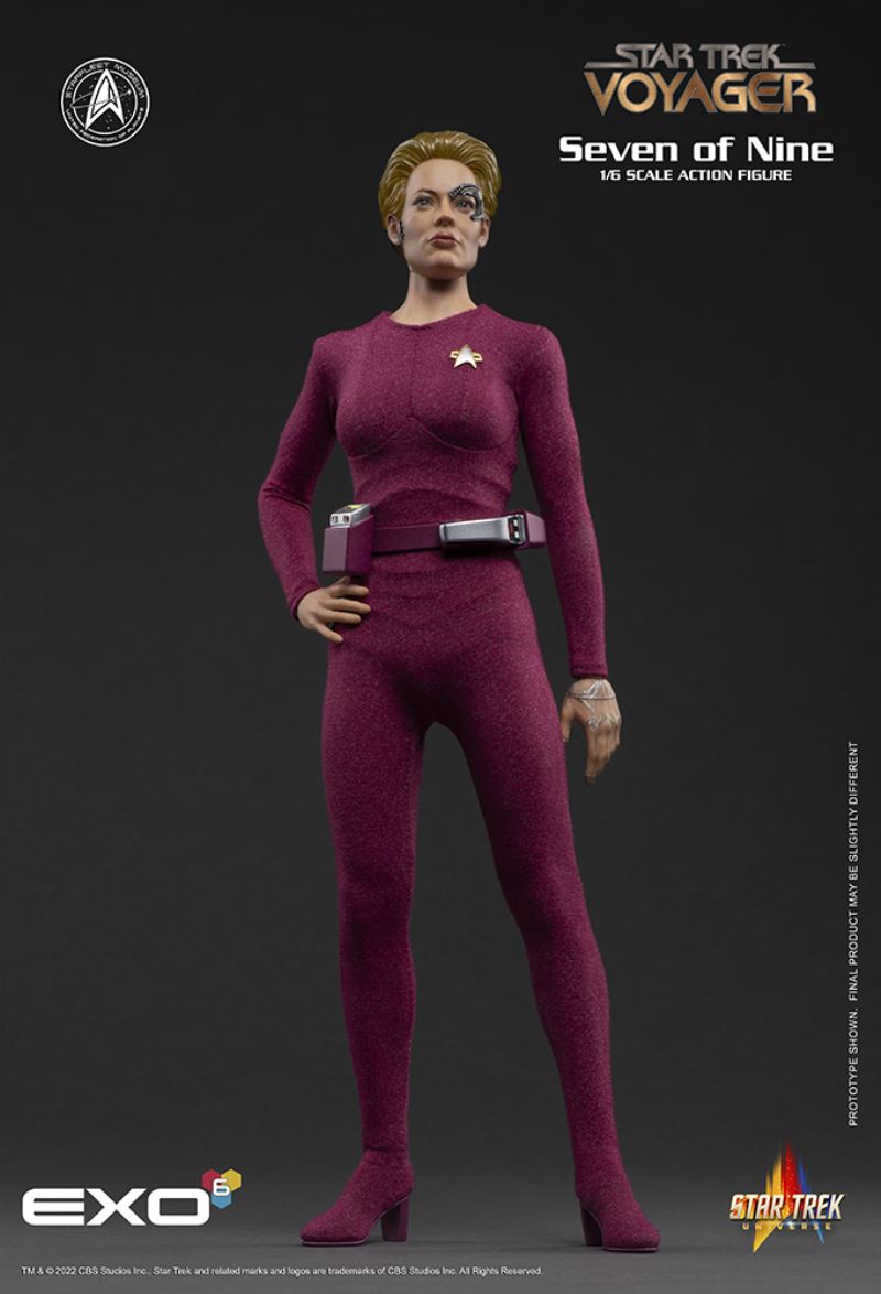 Seven of Nine 1/6