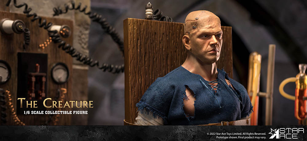 The Creature 1/6