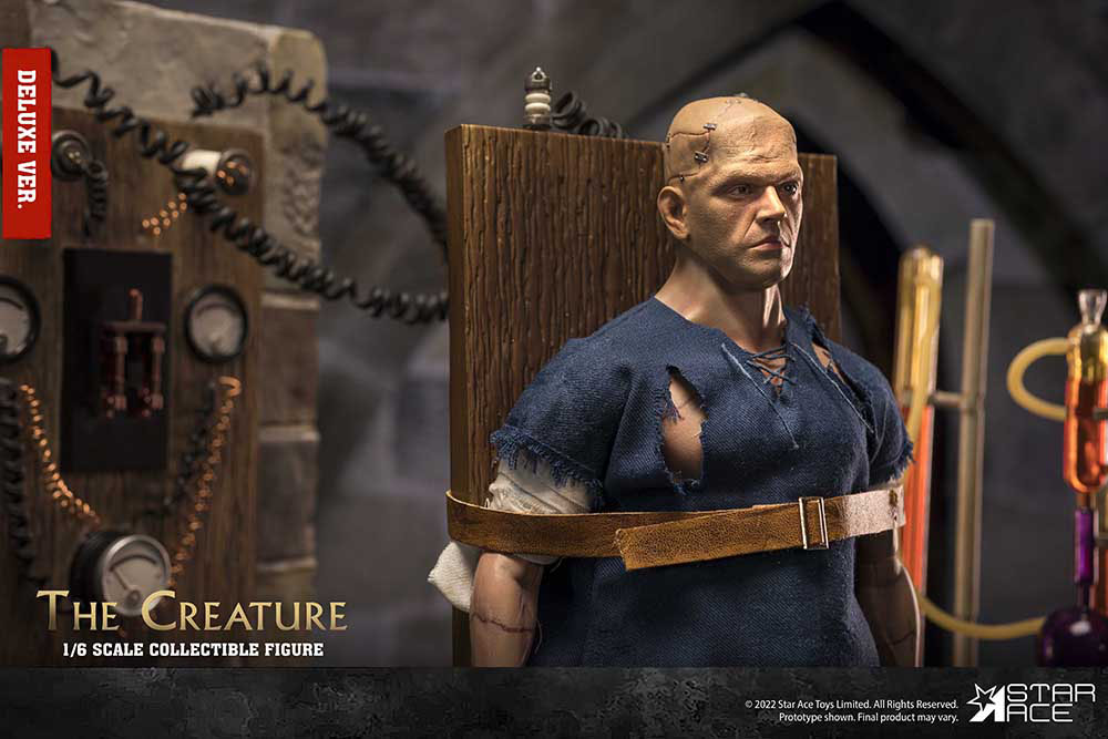 The Creature 1/6