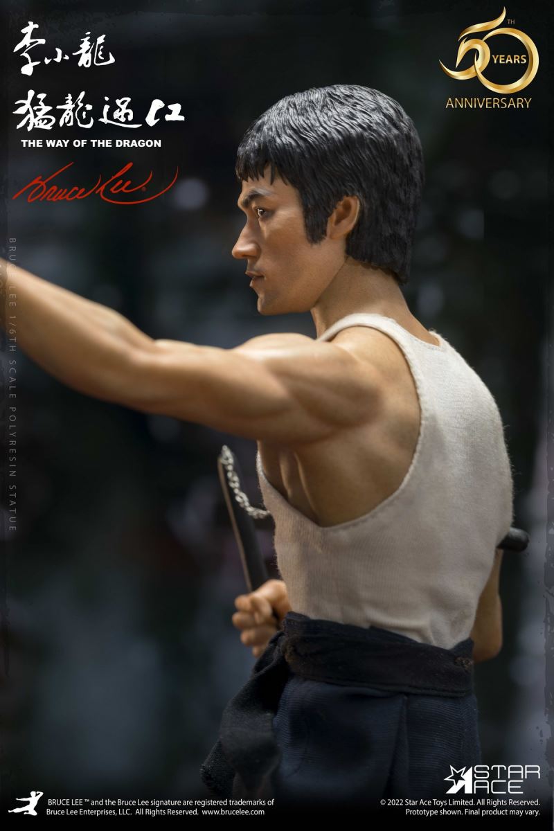 Dragon Crossing the River - Bruce Lee Statue