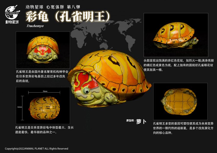 Fat Turtle