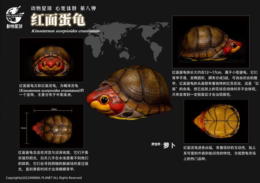 Fat Turtle