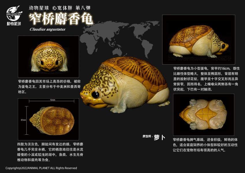 Fat Turtle