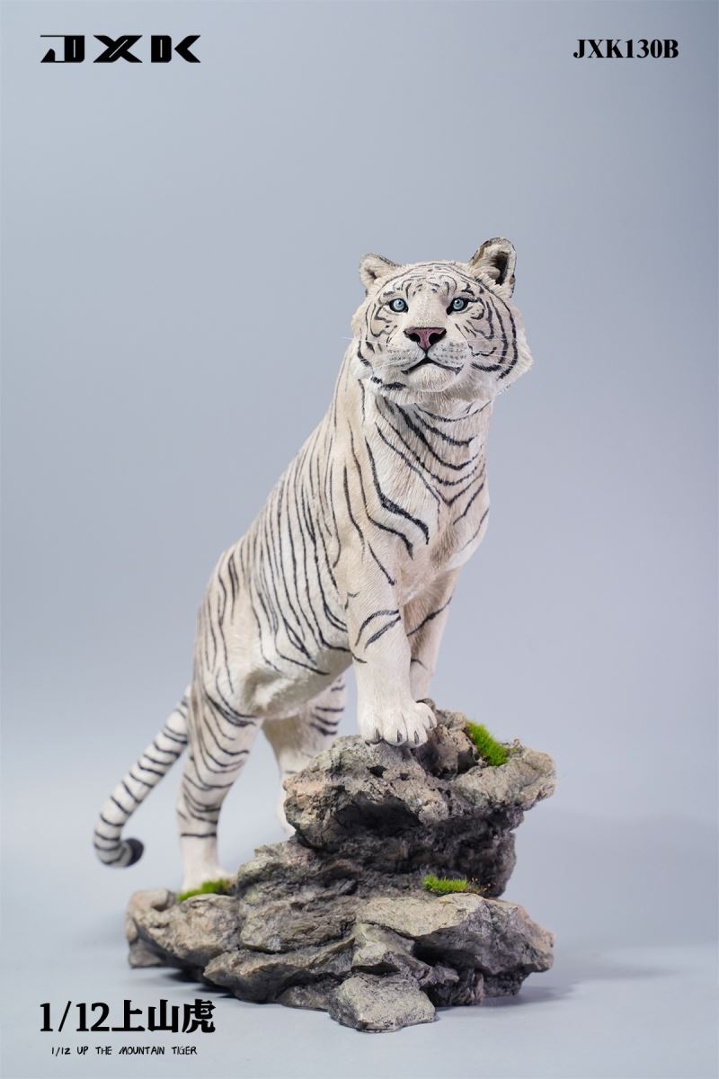 The Mountain Tiger 1/12