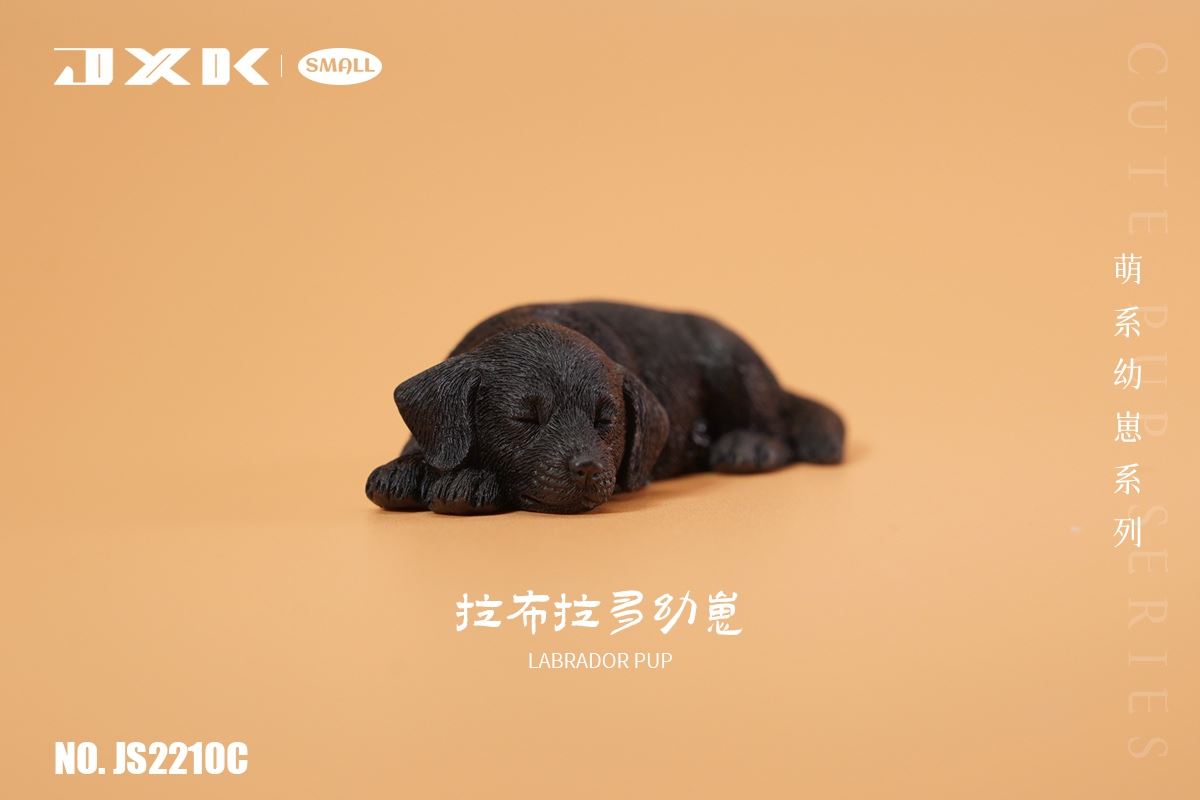 Golden Retriever / Husky / Labrador Cub