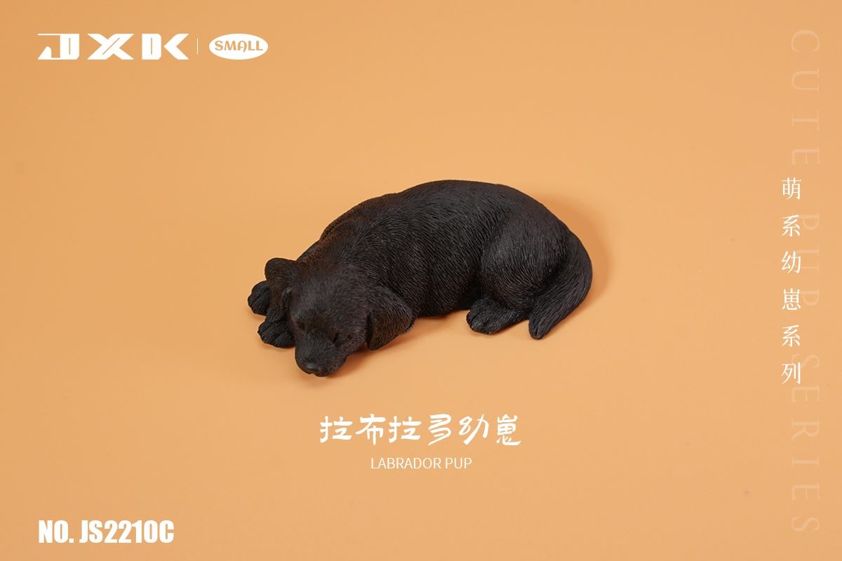 Golden Retriever / Husky / Labrador Cub