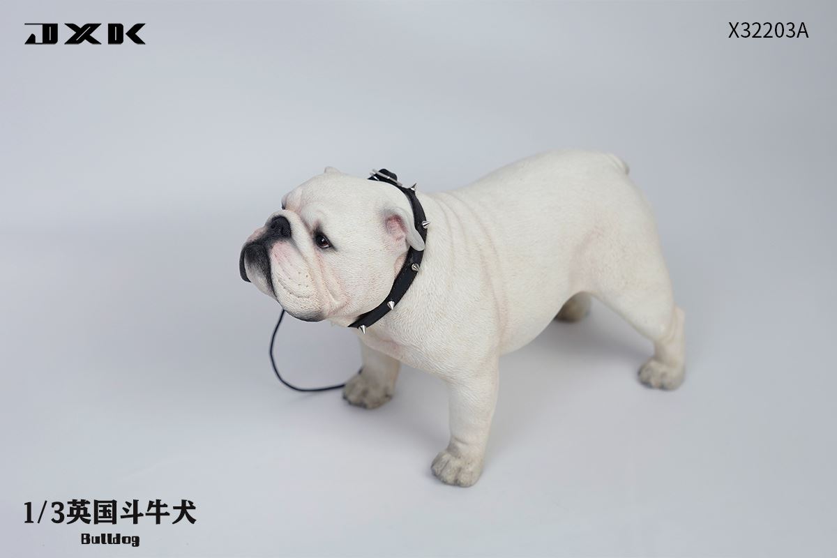 English Bulldog (X32203) 1/3