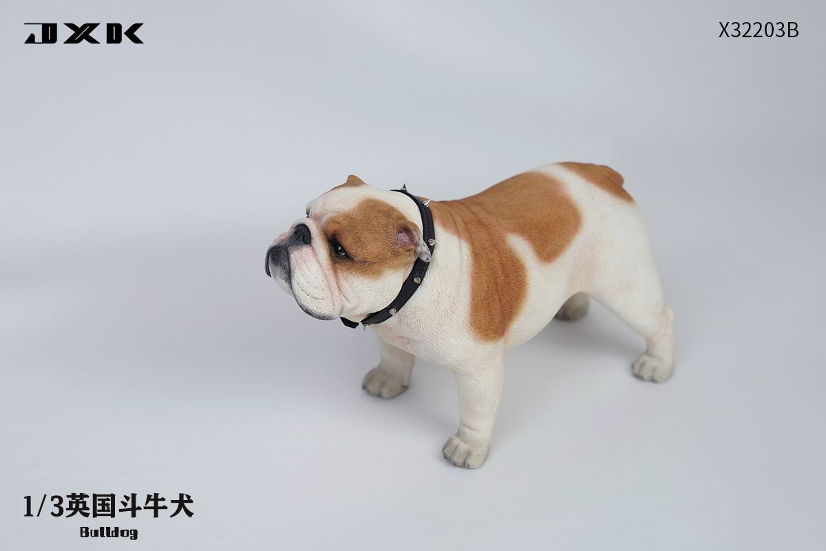English Bulldog (X32203) 1/3