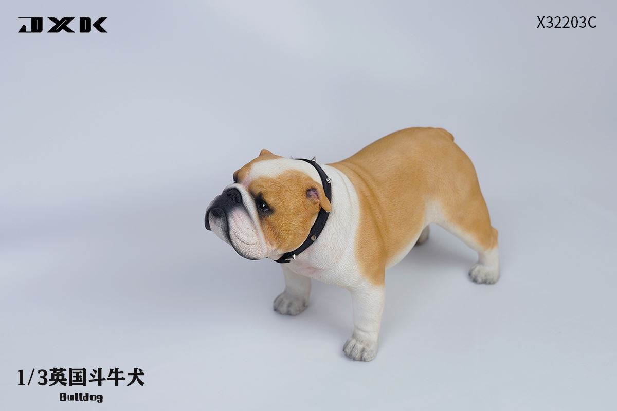 English Bulldog (X32203) 1/3
