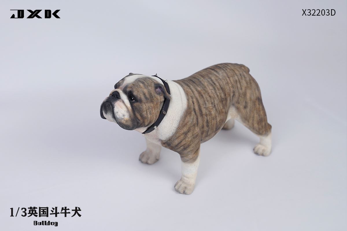 English Bulldog (X32203) 1/3