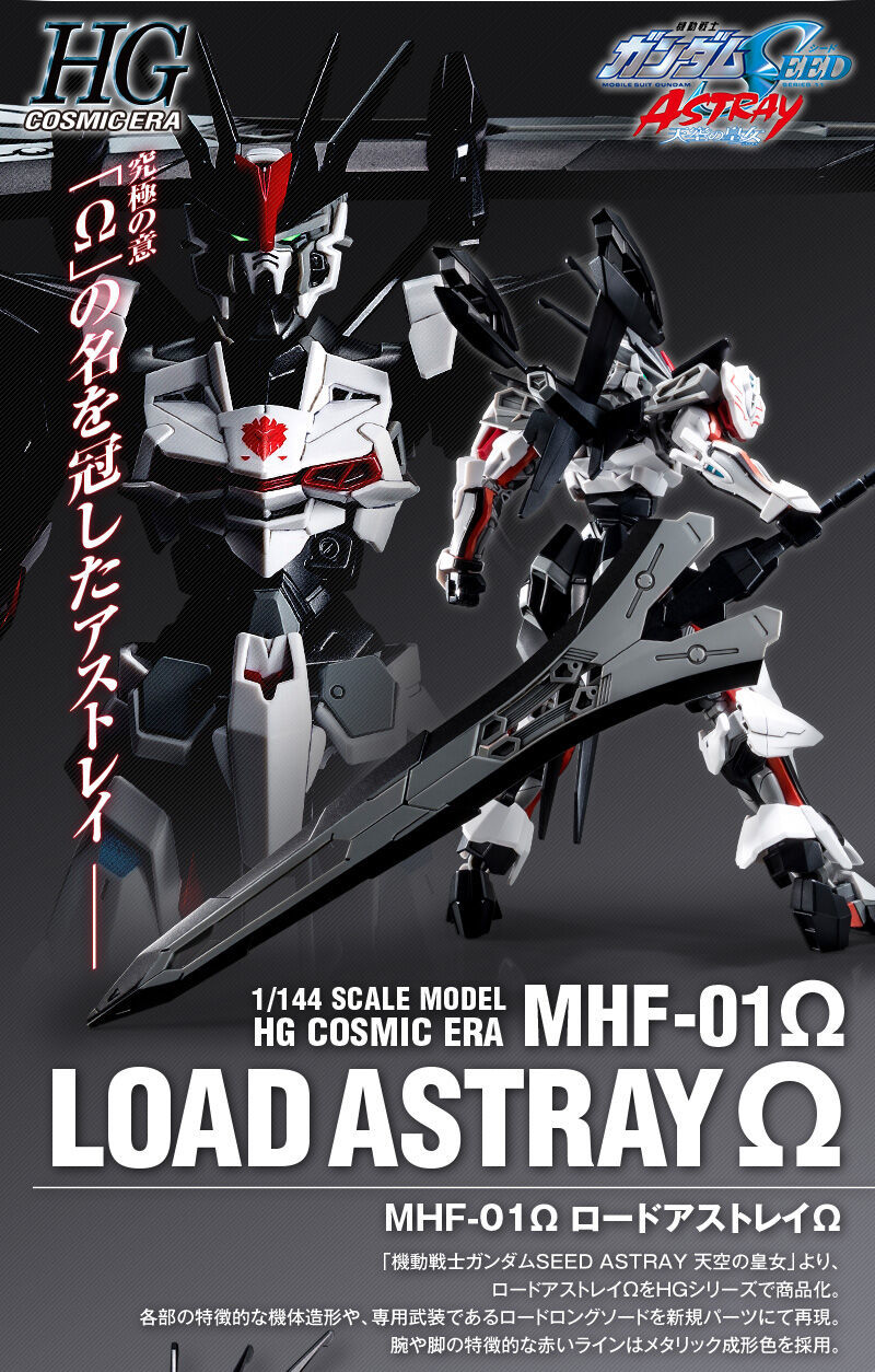 HG 1/144 LOAD ASTRAY Ω