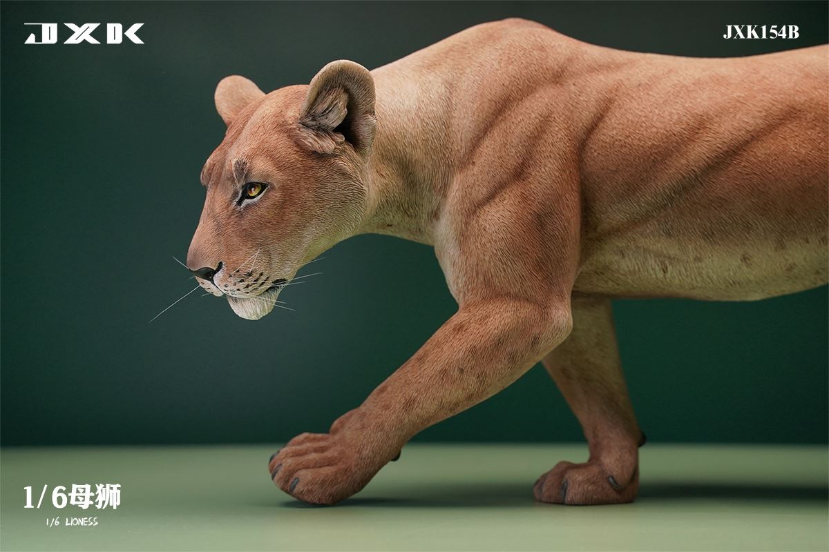 Lioness 1/6