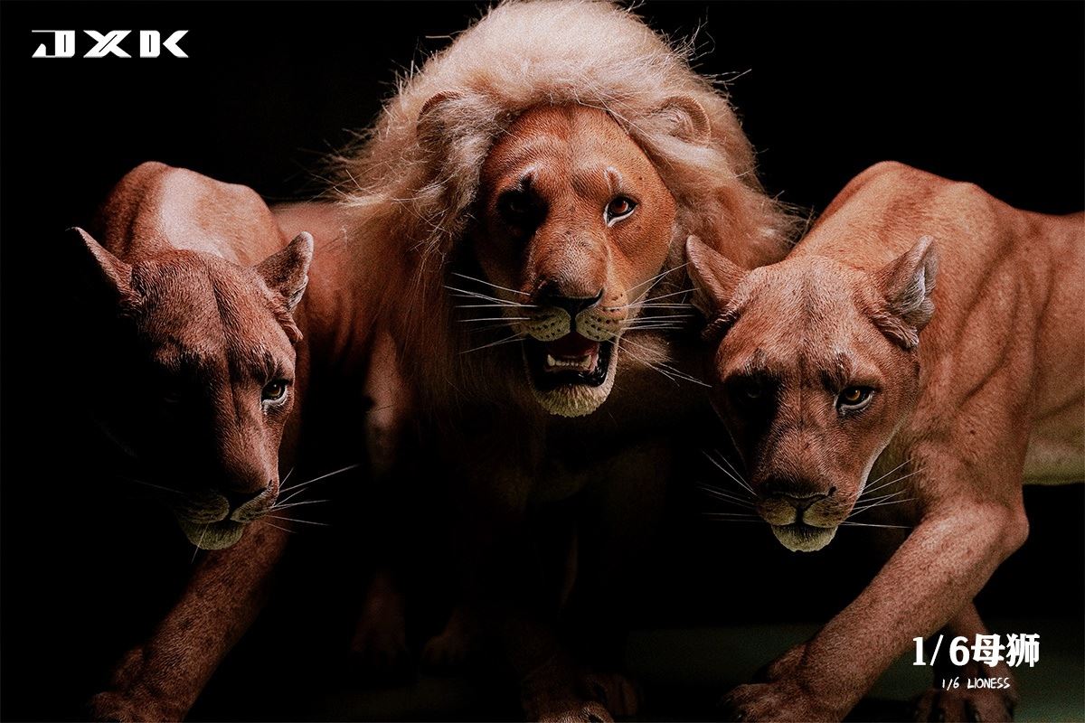 Lioness 1/6