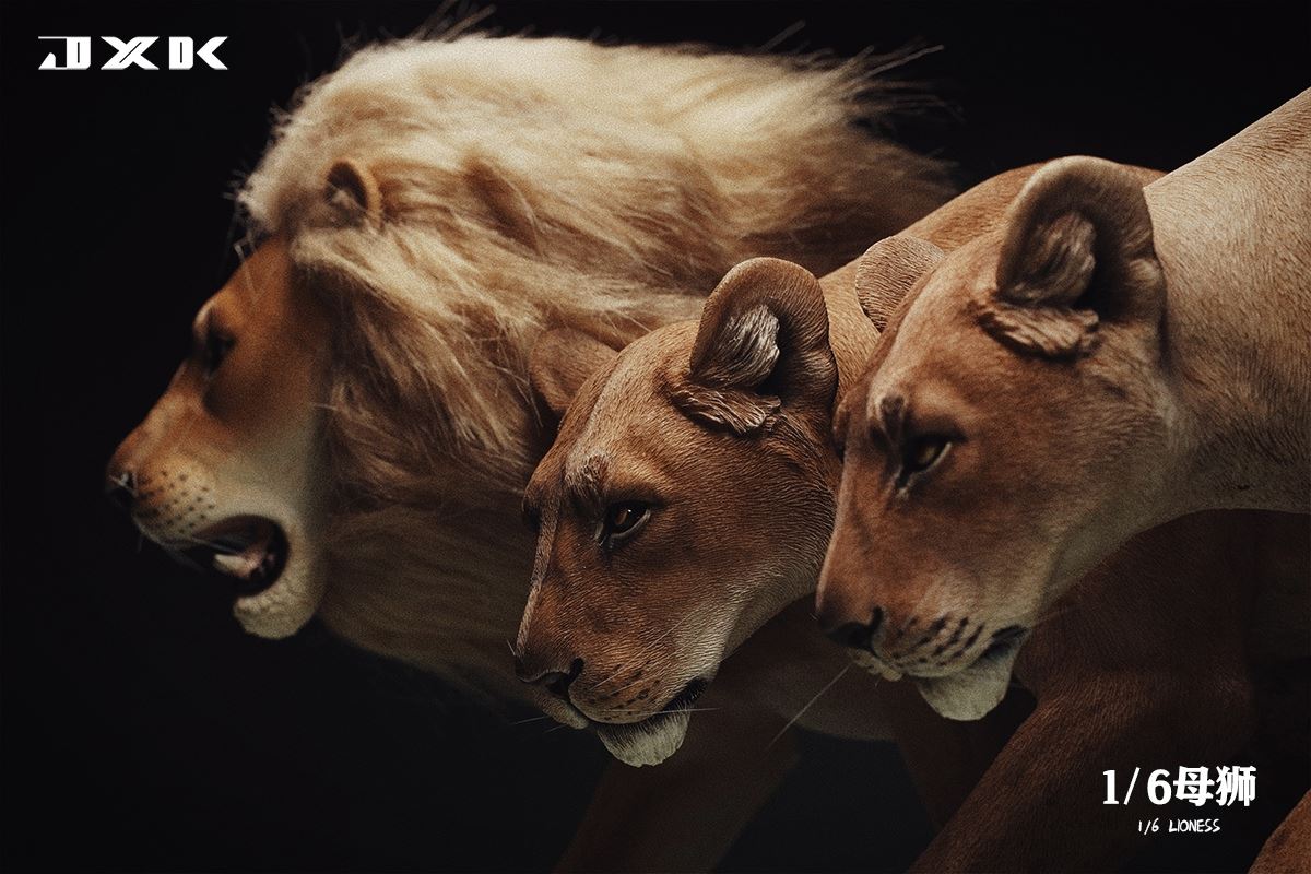 Lioness 1/6