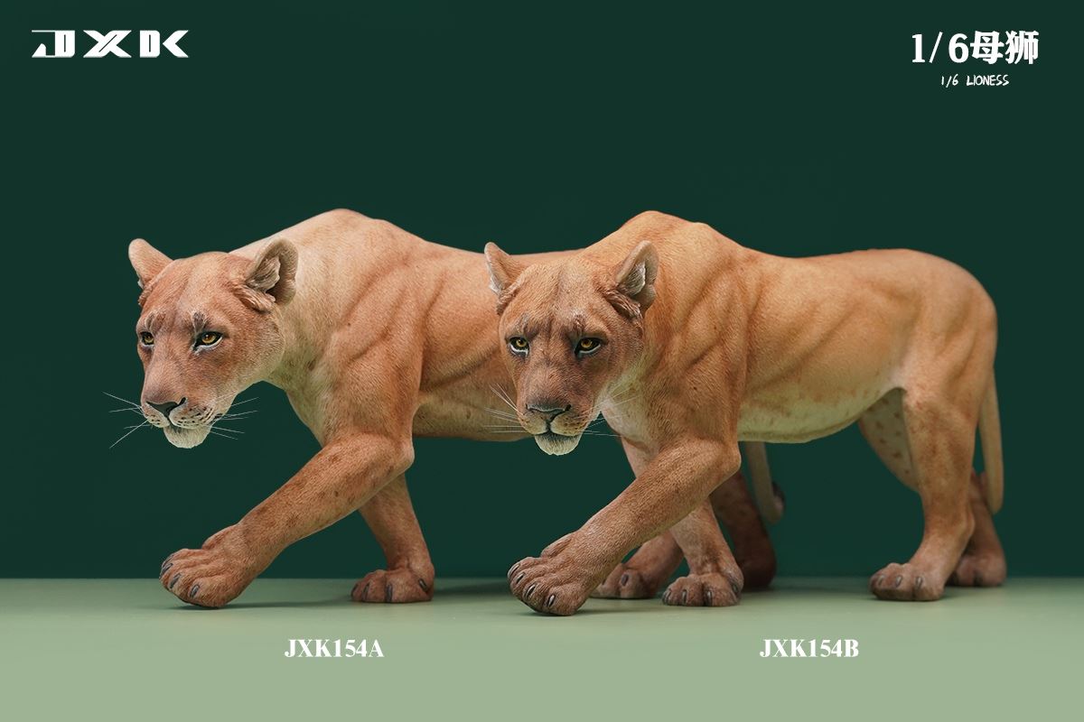 Lioness 1/6