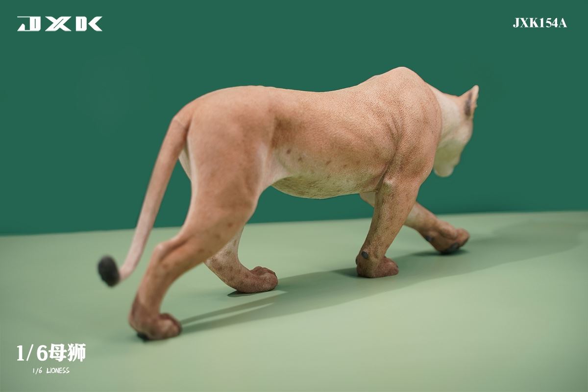 Lioness 1/6