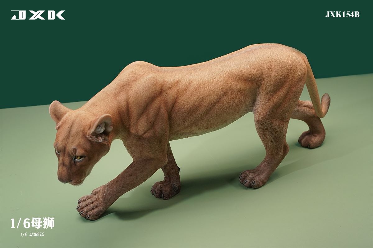 Lioness 1/6