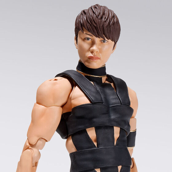 SHFiguarts TMRevolution