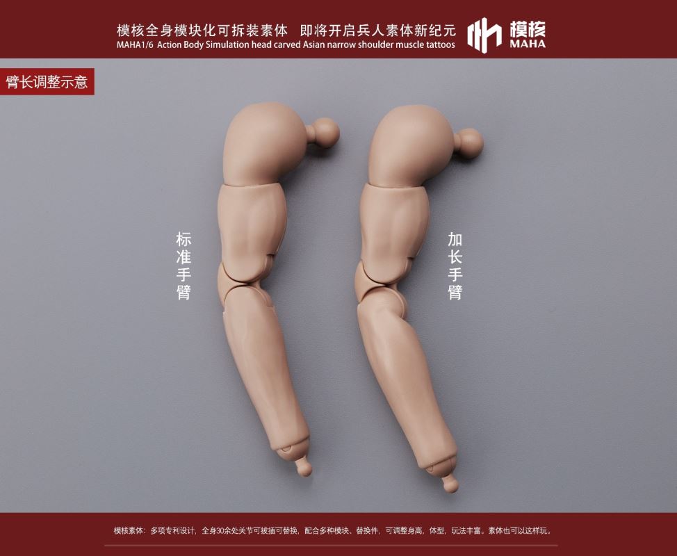 Modular male body and one-piece arm accessory package 1/6