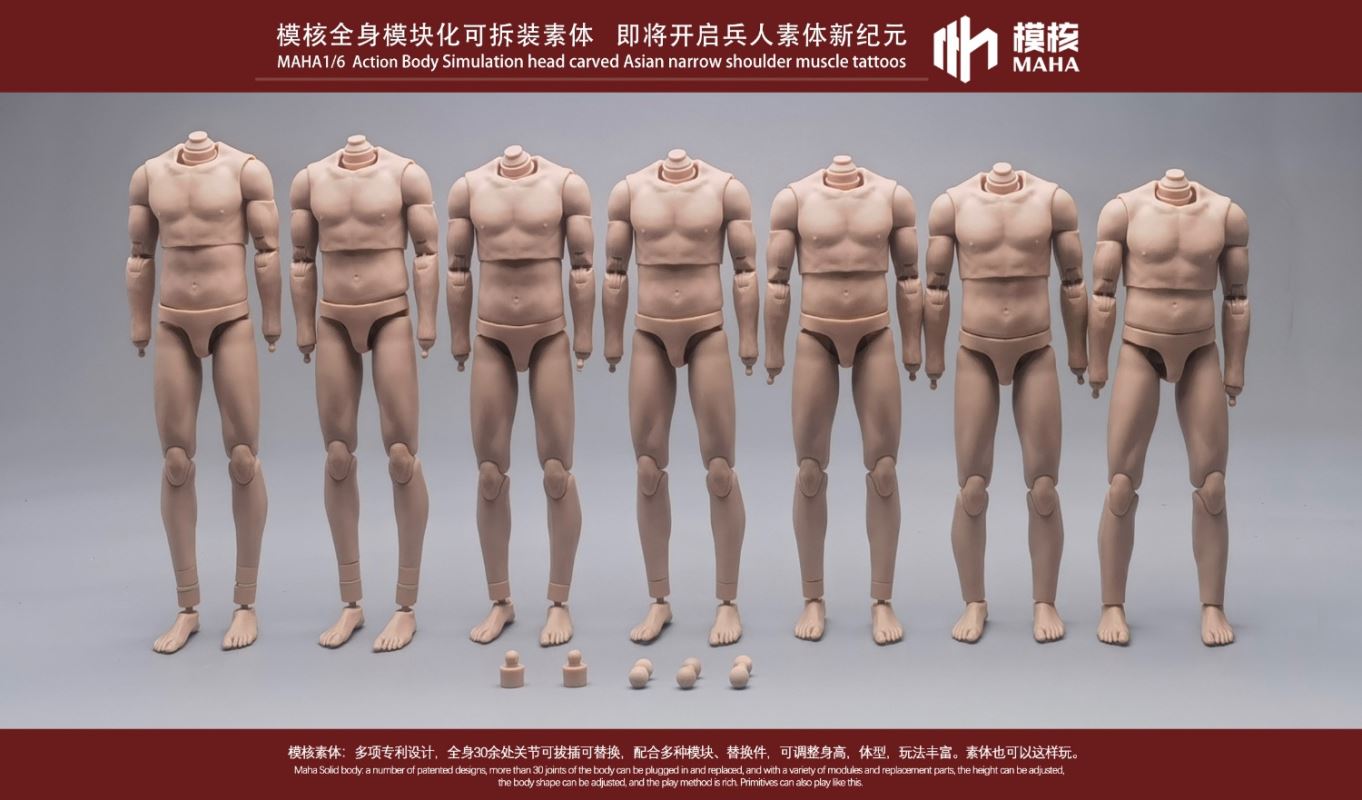 Modular male body and one-piece arm accessory package 1/6