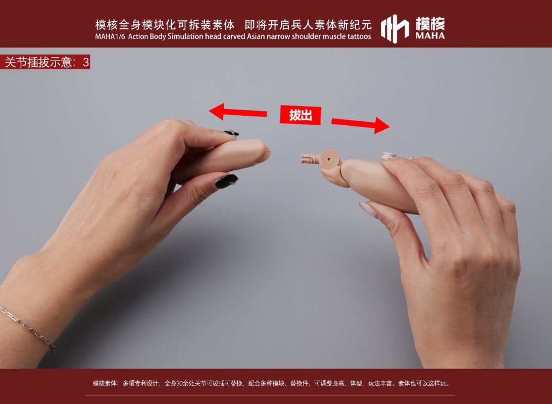 Modular male body and one-piece arm accessory package 1/6