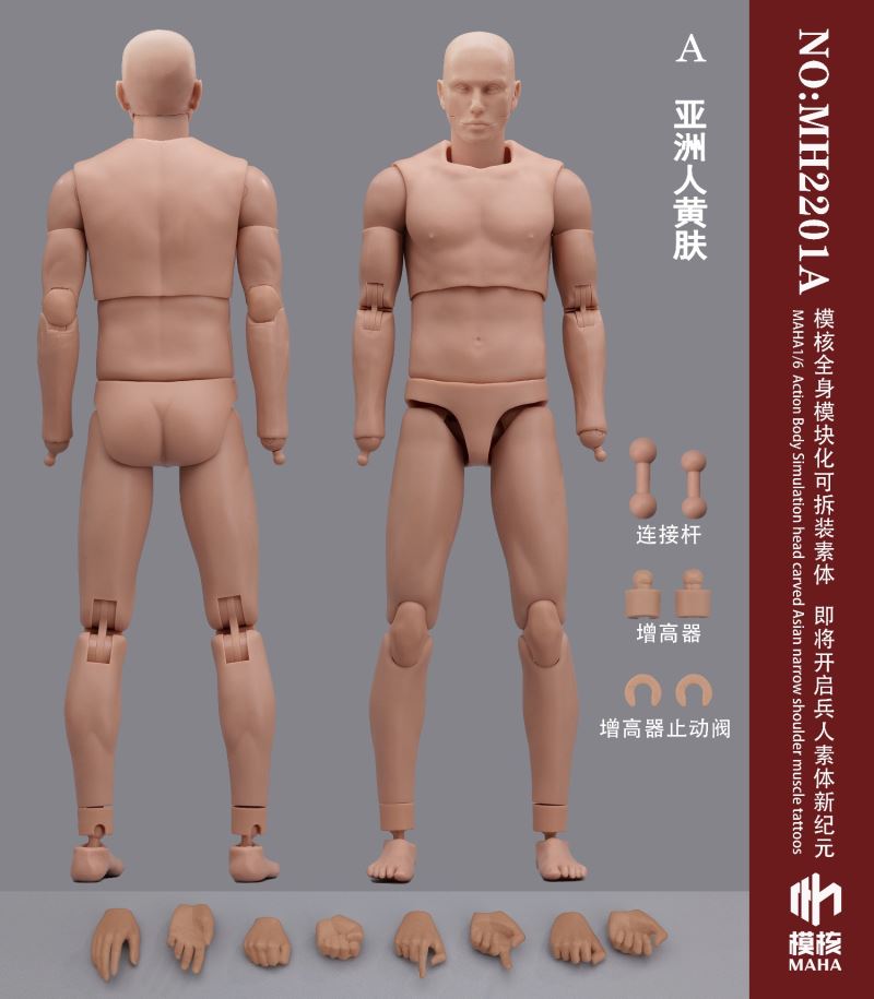 Modular male body and one-piece arm accessory package 1/6