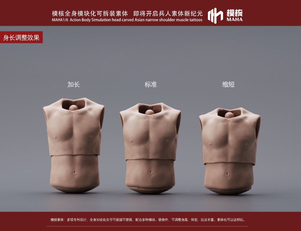 Modular male body and one-piece arm accessory package 1/6