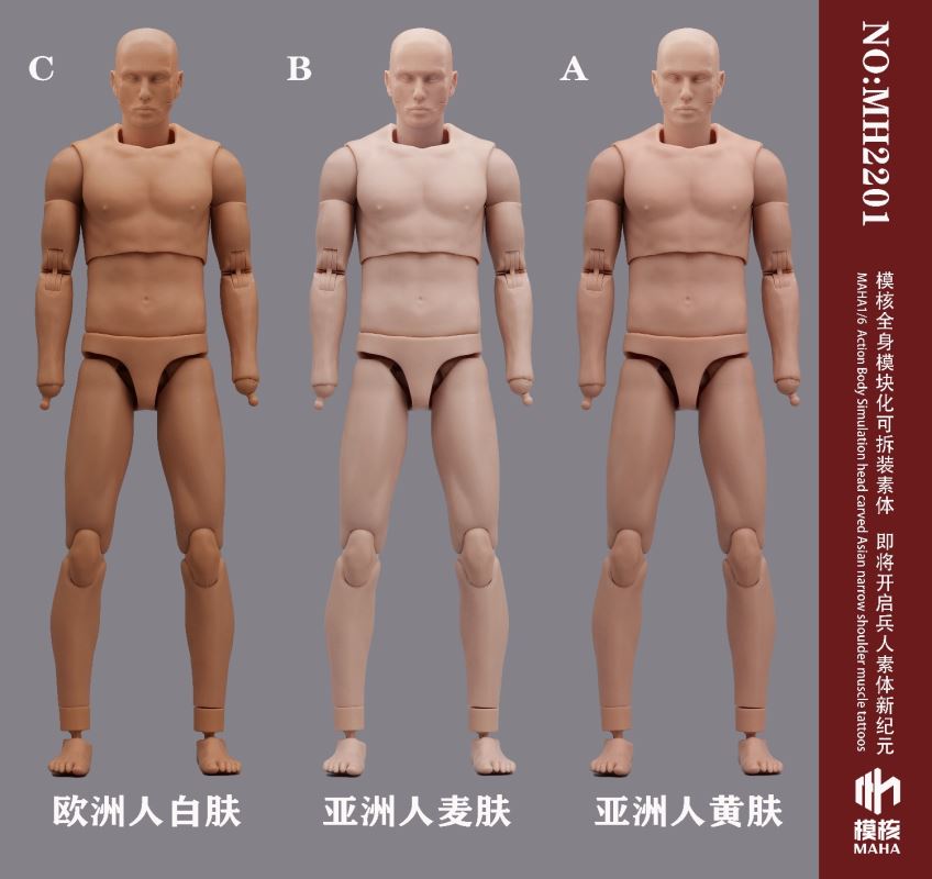 Modular male body and one-piece arm accessory package 1/6