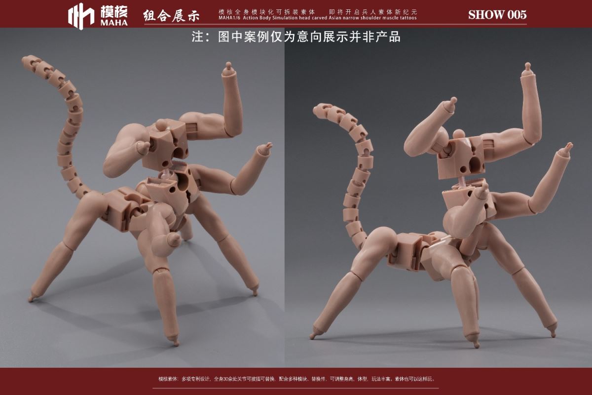 Modular male body and one-piece arm accessory package 1/6