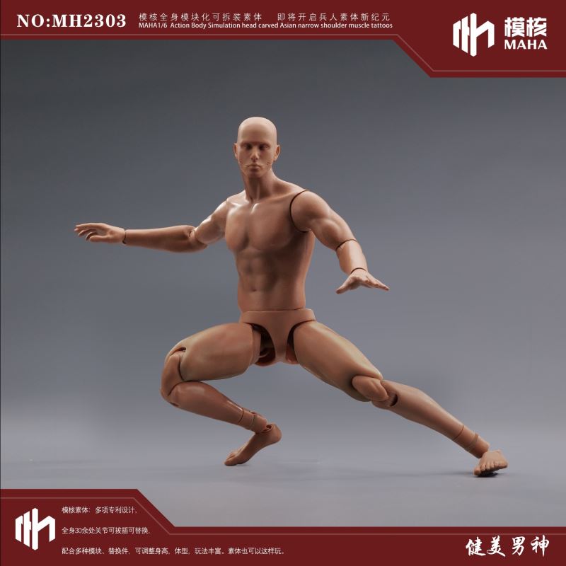 Modular male body and one-piece arm accessory package 1/6
