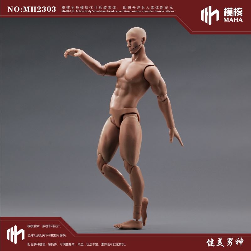 Modular male body and one-piece arm accessory package 1/6