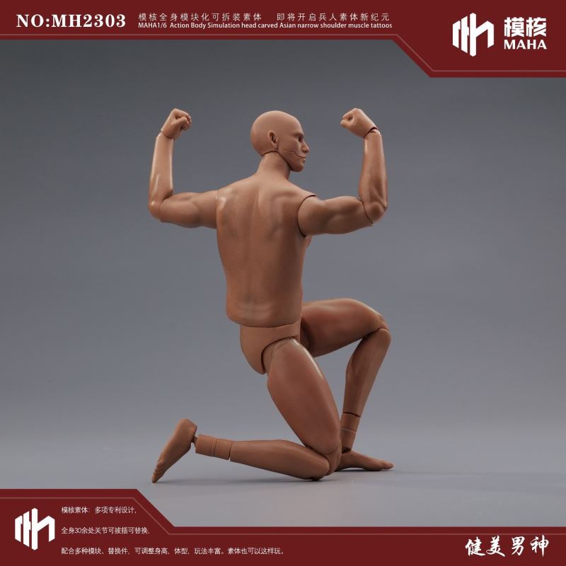 Modular male body and one-piece arm accessory package 1/6