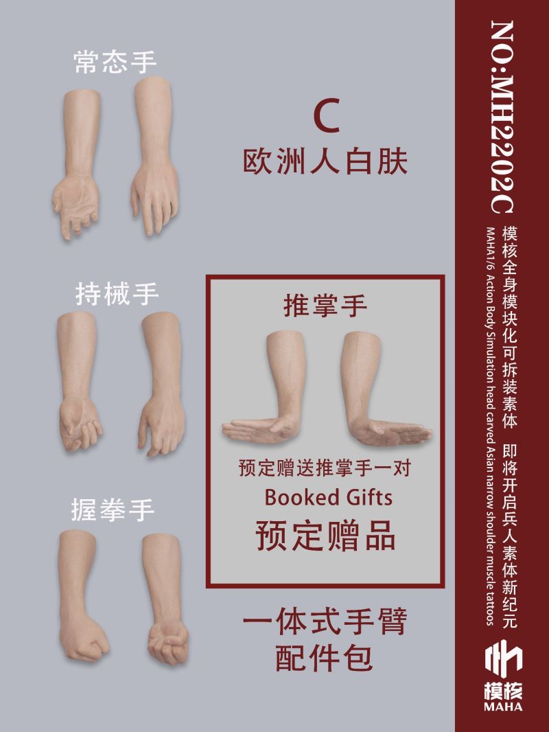 Modular male body and one-piece arm accessory package 1/6