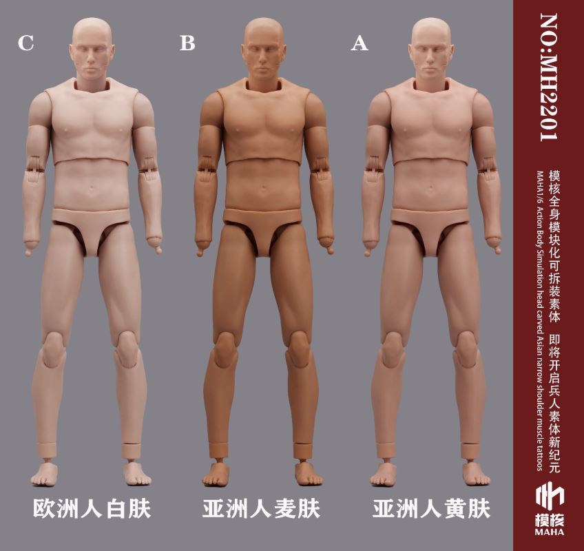 Modular male body and one-piece arm accessory package 1/6