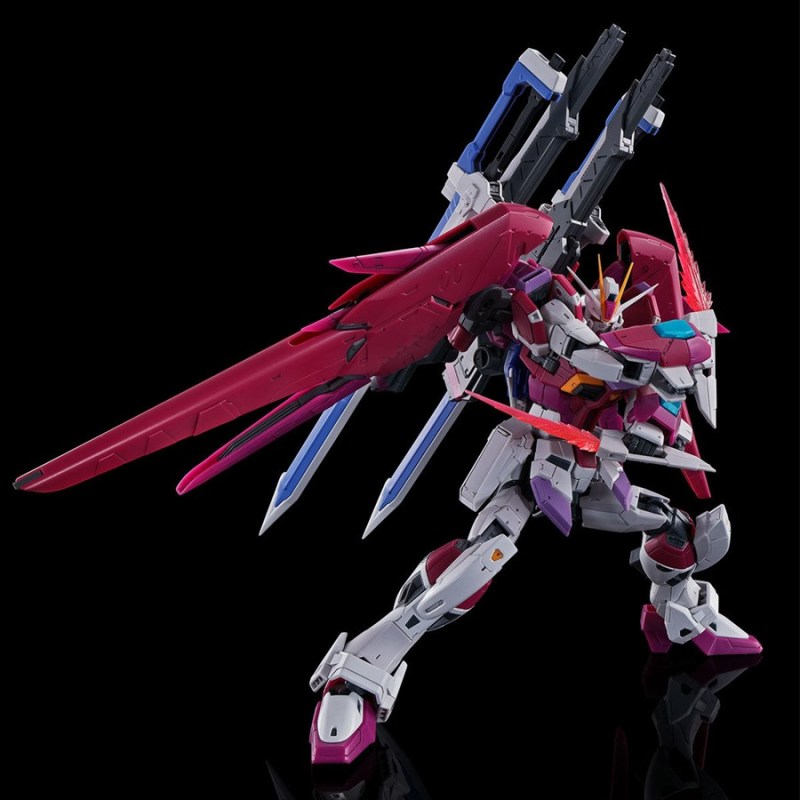 RG 1/144 Destiny Pulse Gundam