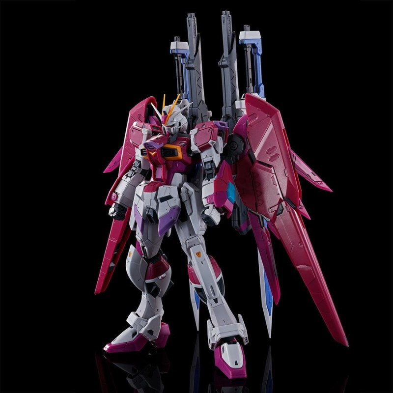 RG 1/144 Destiny Pulse Gundam