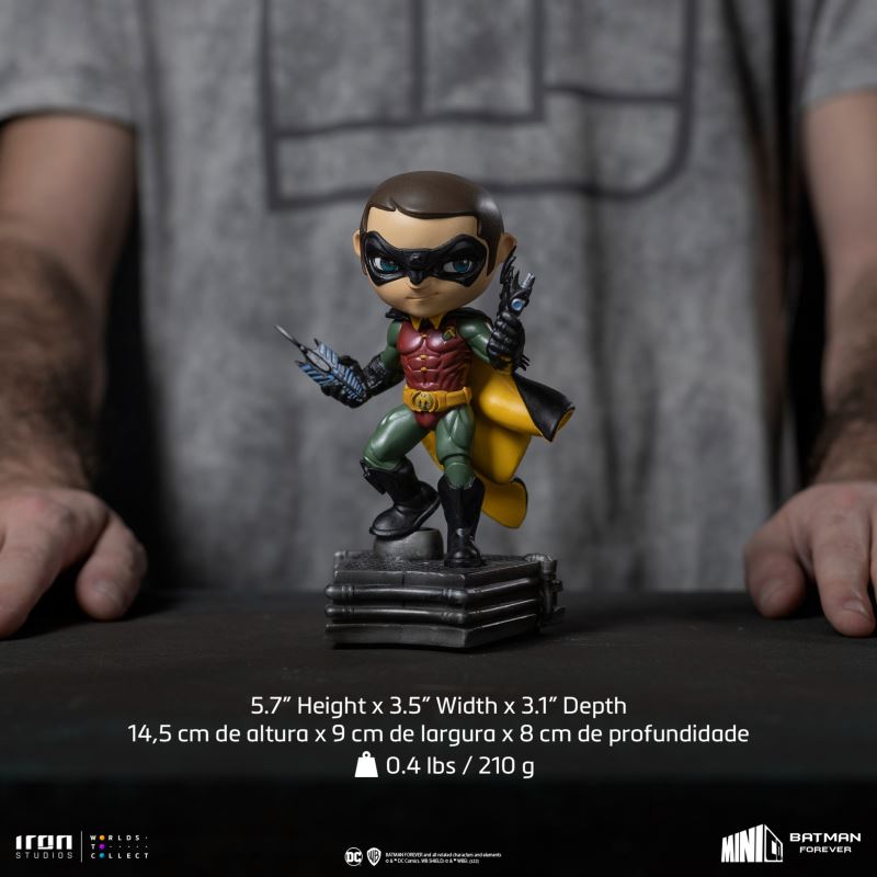 Robin - Batman Forever - MiniCo